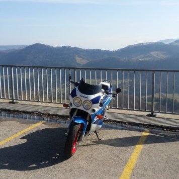 20170314_150337 (Medium)